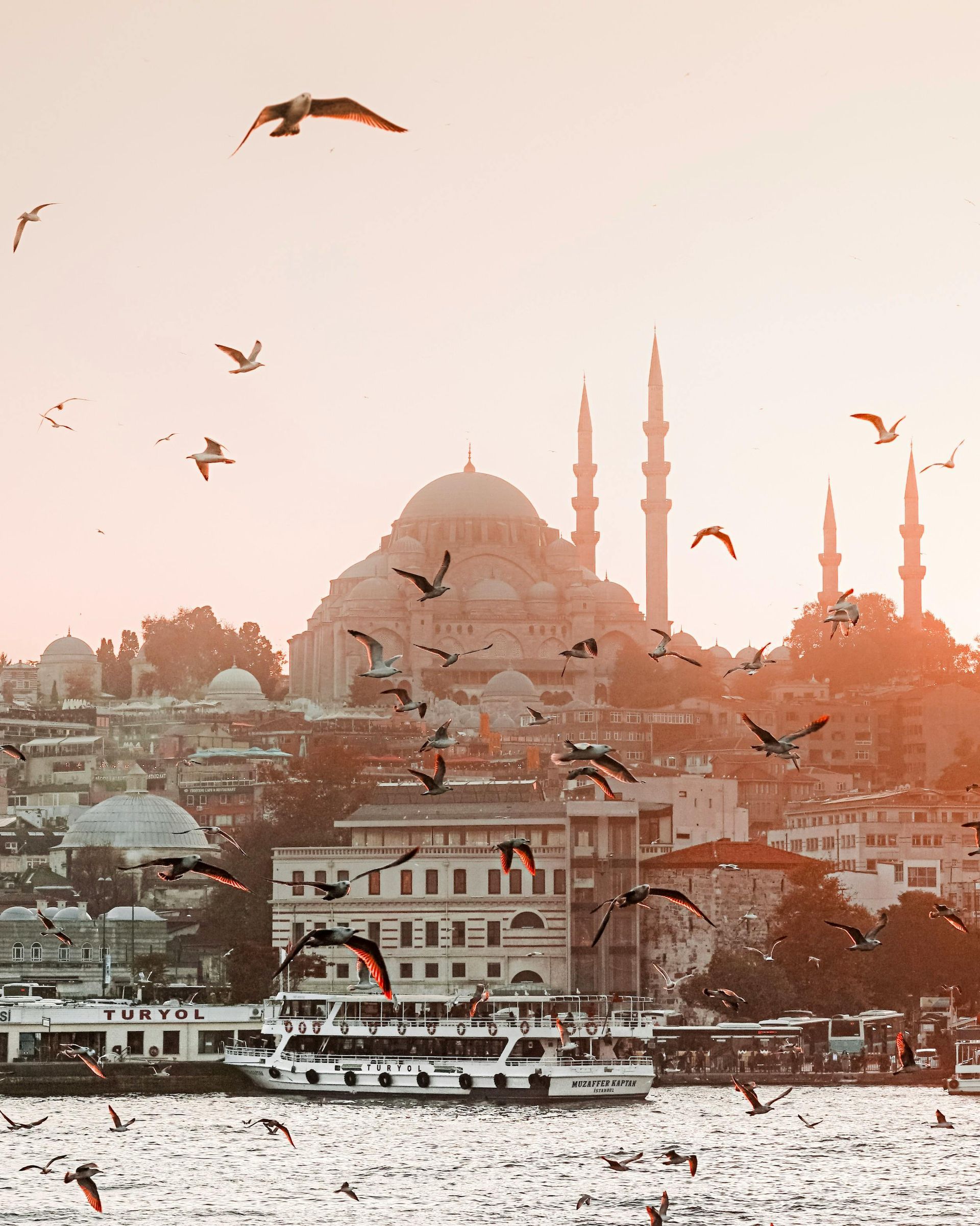 Birds fly in front of a mosque and buildings along a waterway, Istanbul, Turkey.