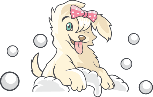 Dog Groomer Holly Springs