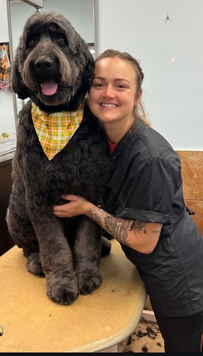 Dog Grooming Expert Holly Springs