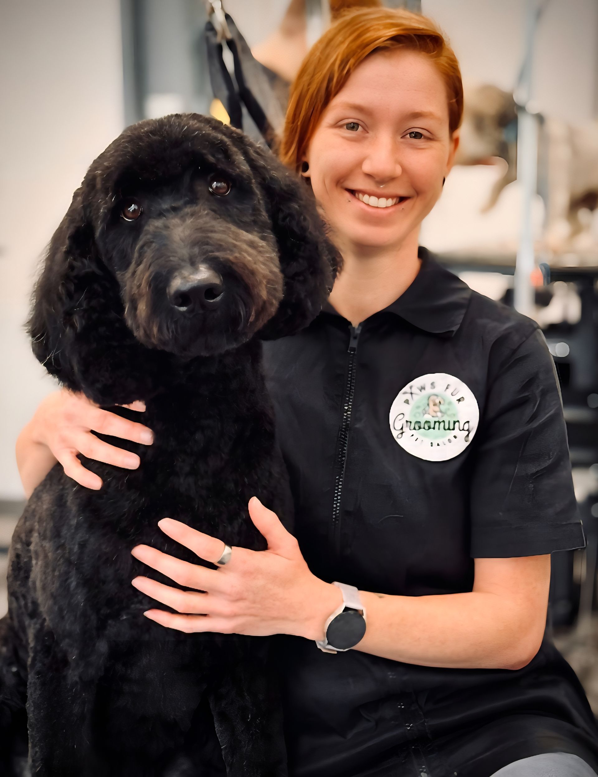 Dog Grooming Expert Holly Springs