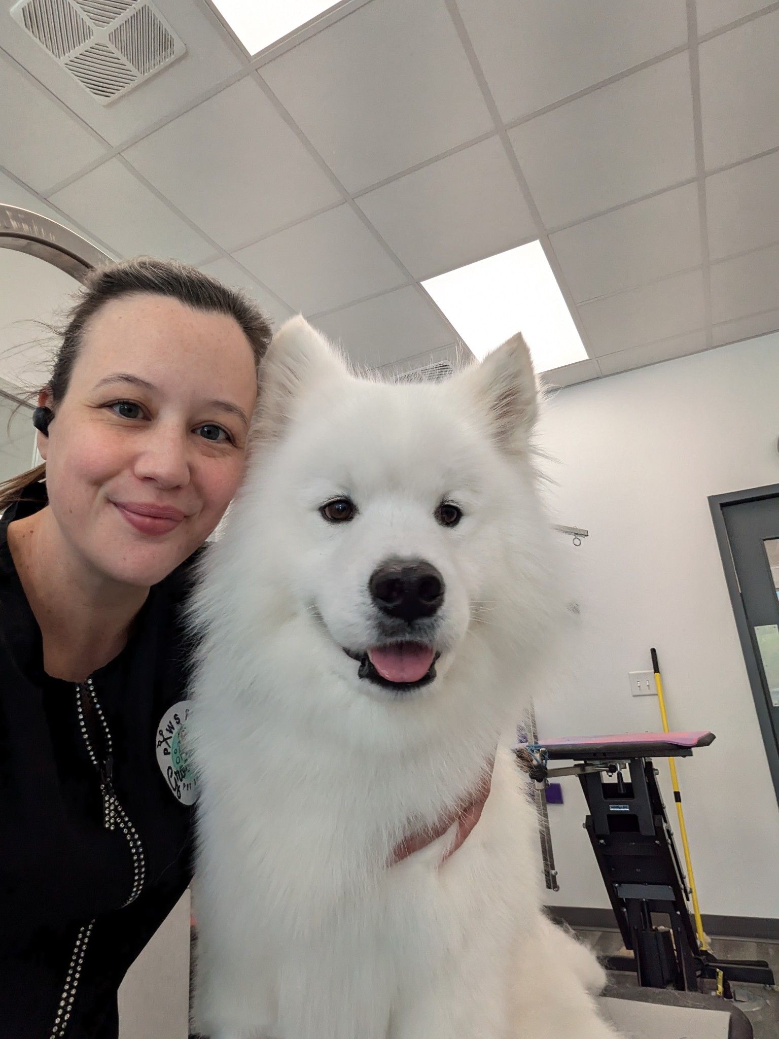Dog Grooming Expert Holly Springs