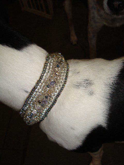 Puppy Posh Dog Collar