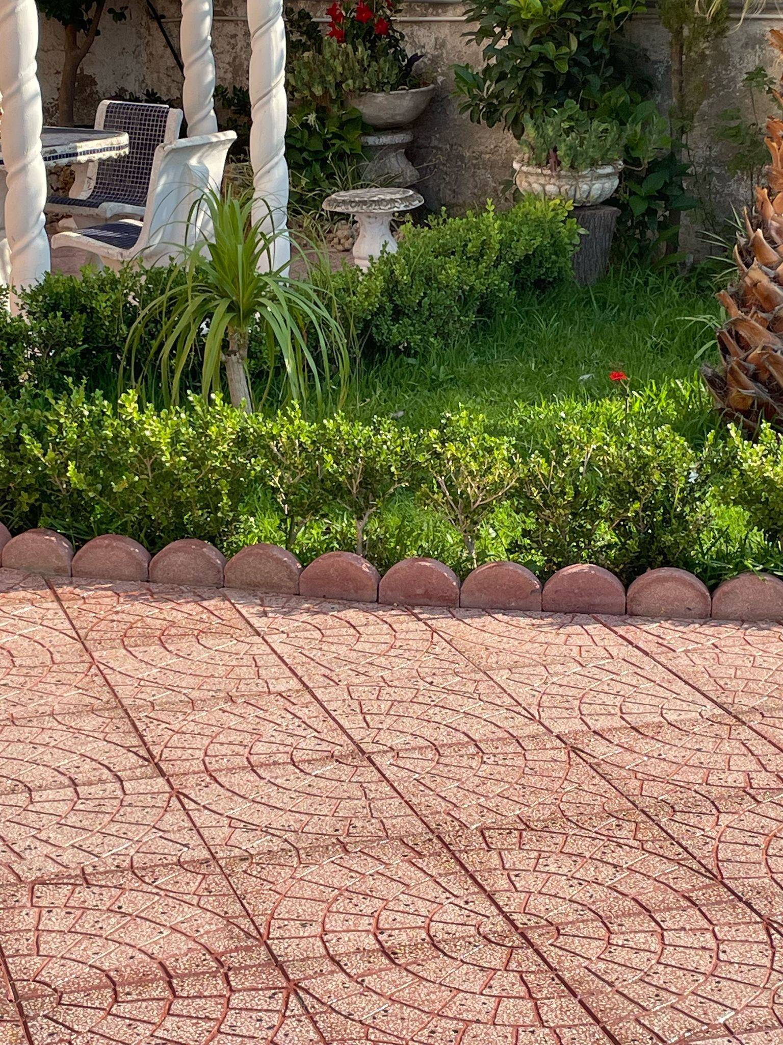 In primo piano un sentiero in mattoni che conduce a un giardino con cespugli verdi, un fiore rosso e pilastri bianchi.