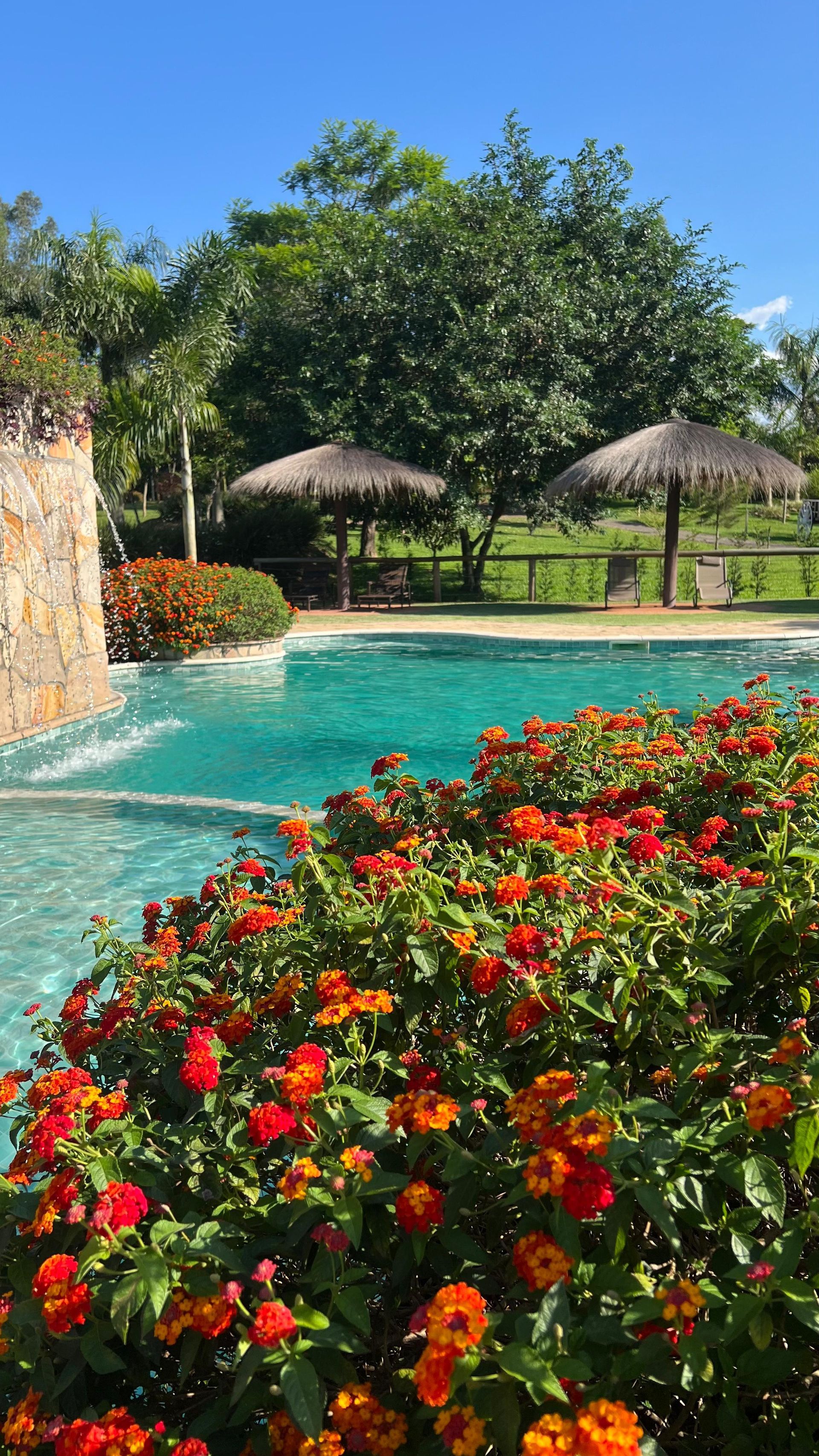 Hay una gran piscina en medio de un exuberante campo verde.