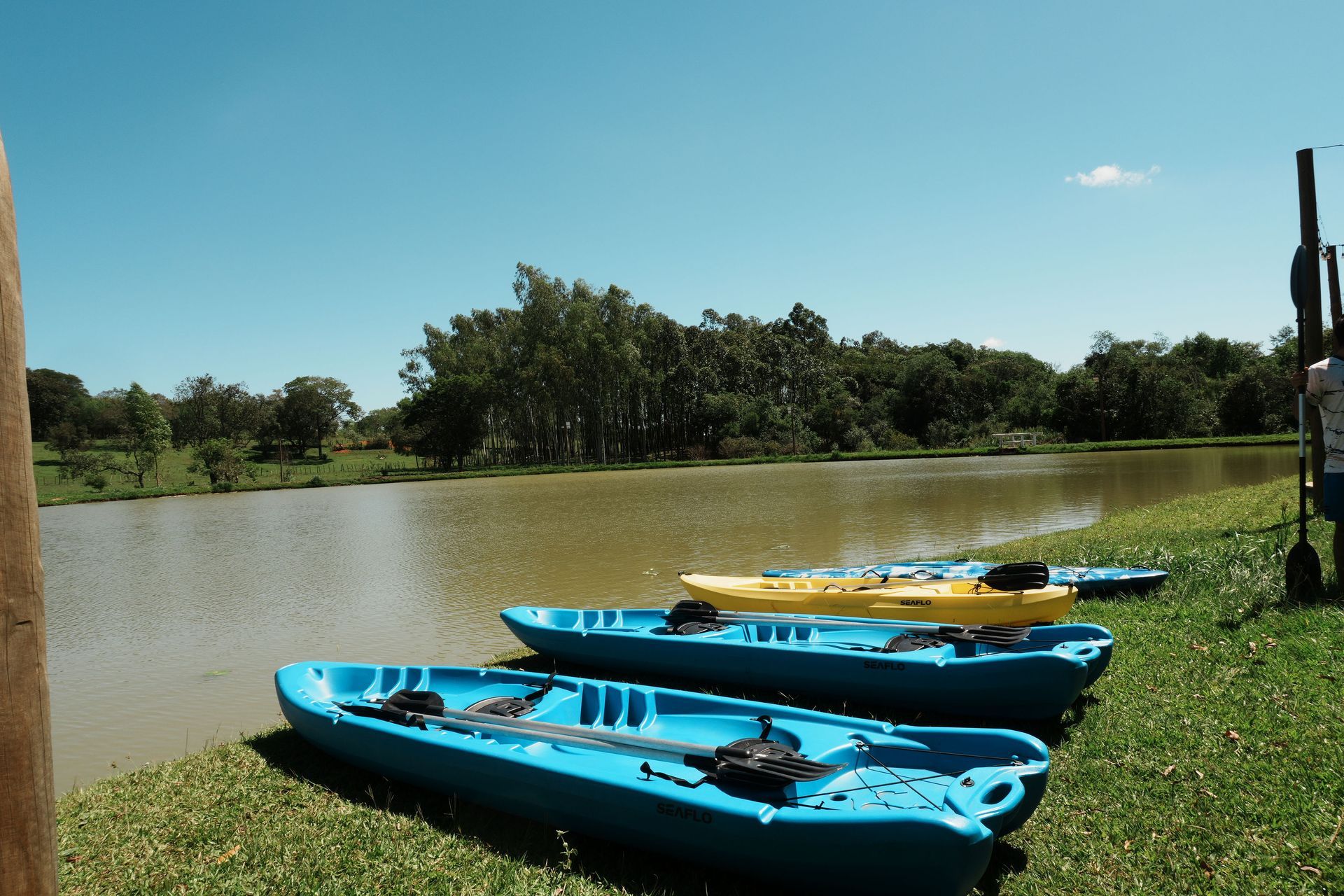 Un pequeño barco flota en la superficie de un lago rodeado de árboles.