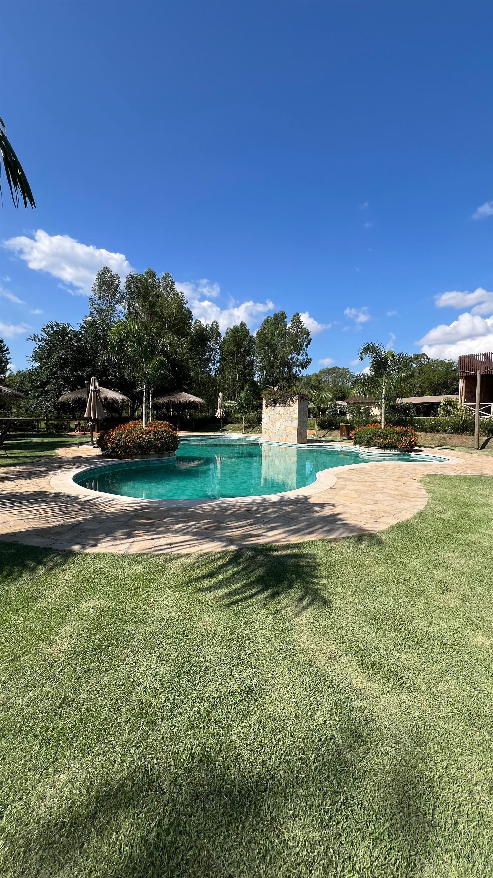 Hay una gran piscina en medio de un exuberante campo verde.