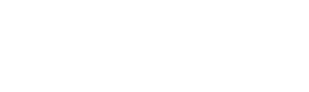 SYNECO ENERGY logo