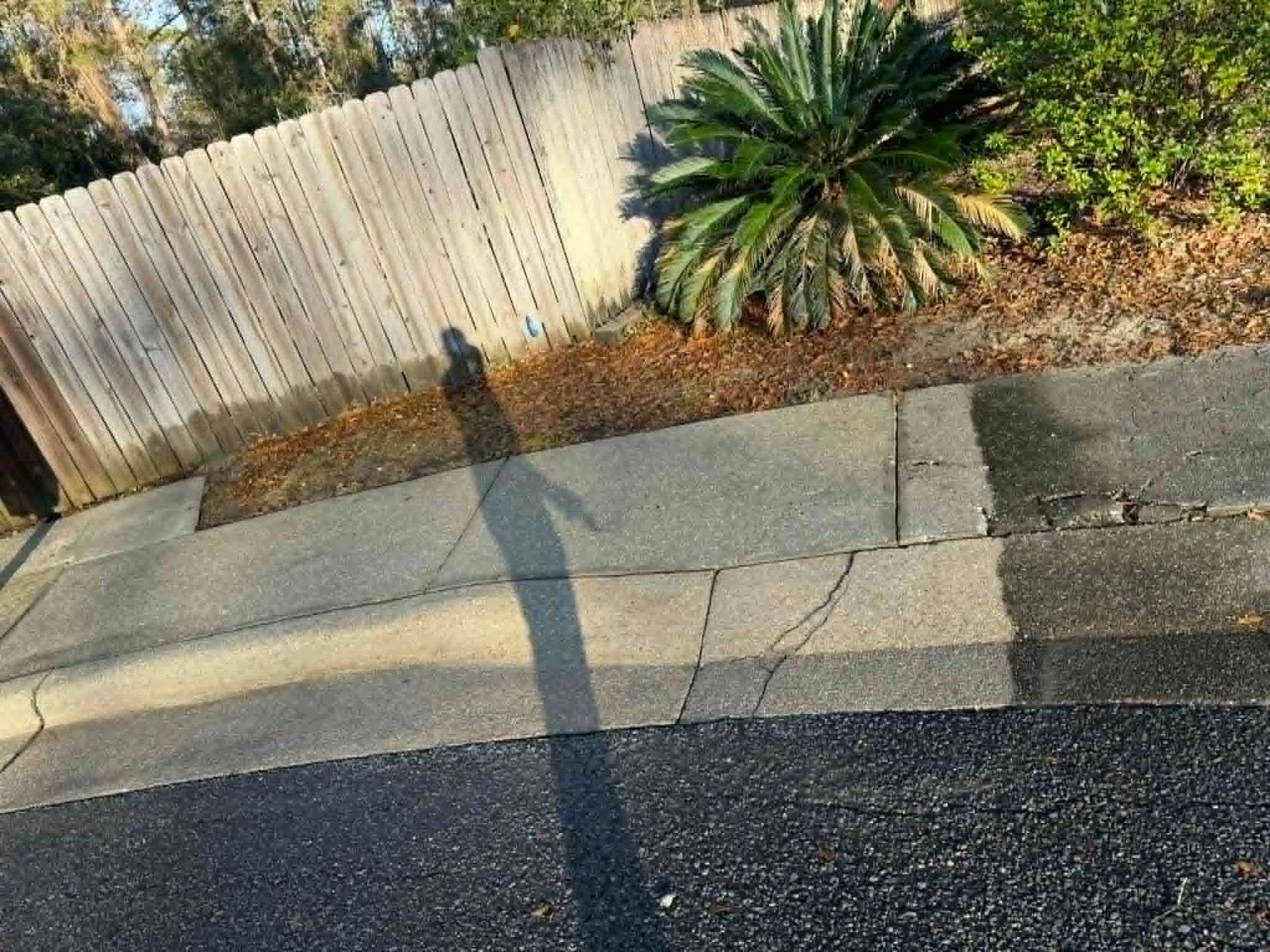 Before and after image of pressure-washed sidewalk.