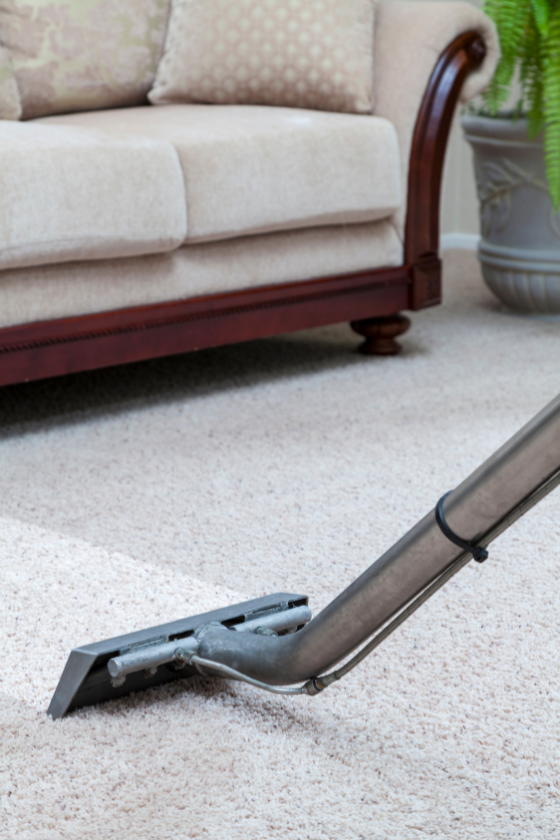 A vacuum cleaner is cleaning a carpet in a living room.
