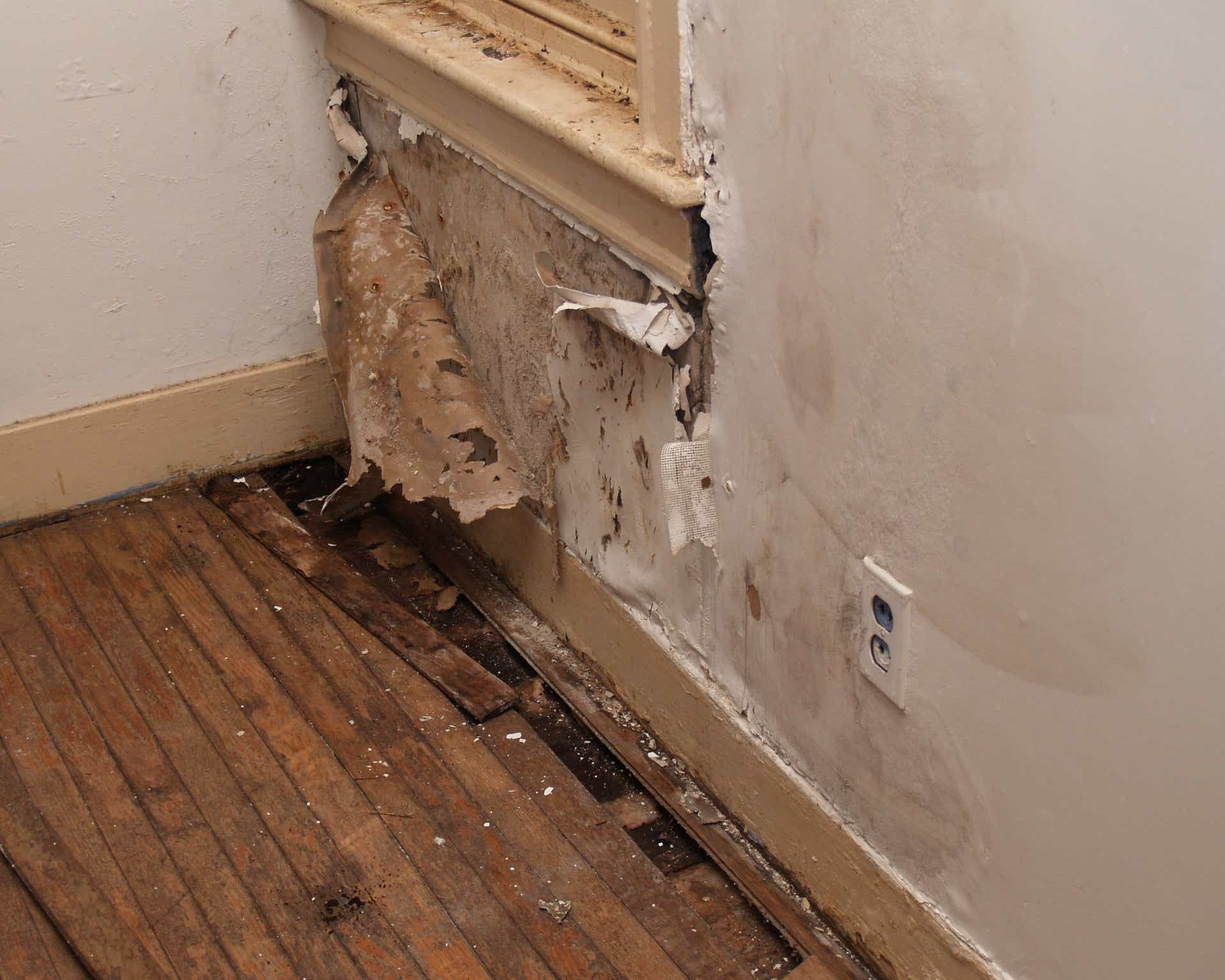 Damaged interior corner with peeling wall paint, visible wood flooring, and an electrical outlet.