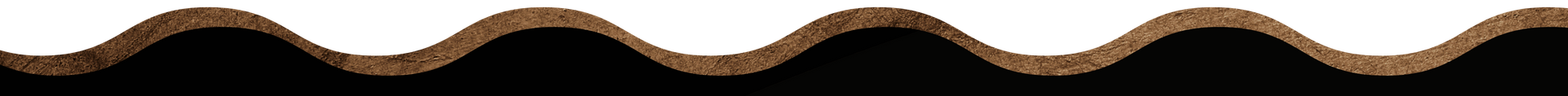 brown and black wave on a white background.