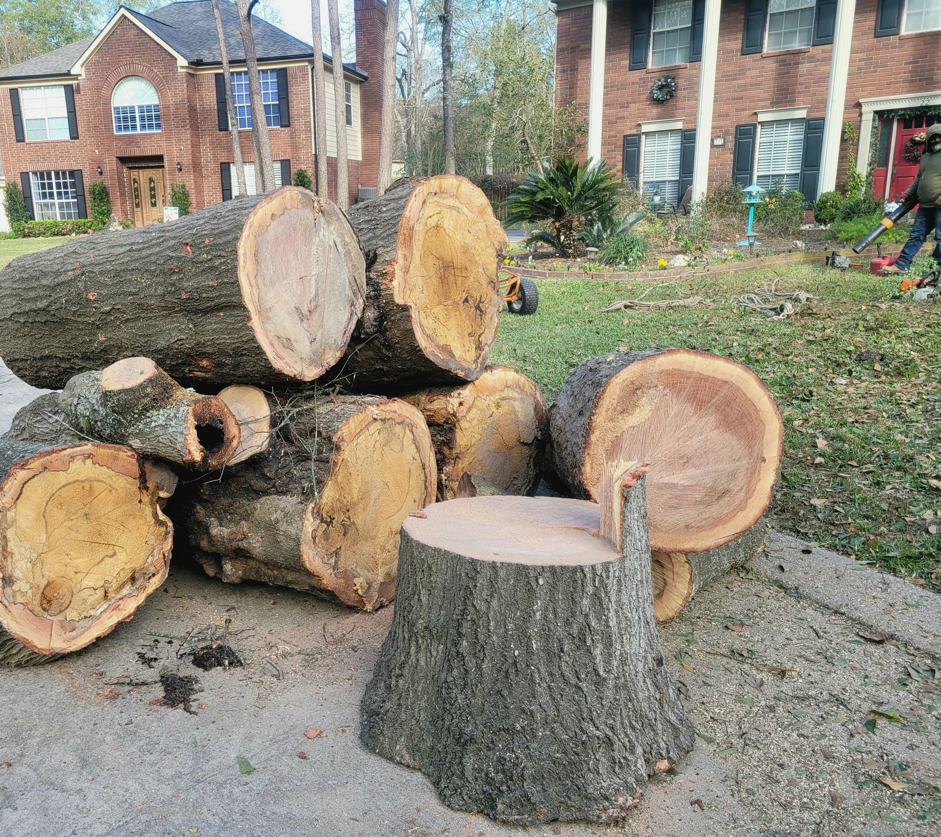 Stacked tree trunks and a cut stump in front of brick houses in a yard