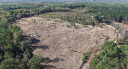 Clearcut land surrounded by forest and a dirt road in a rural area.