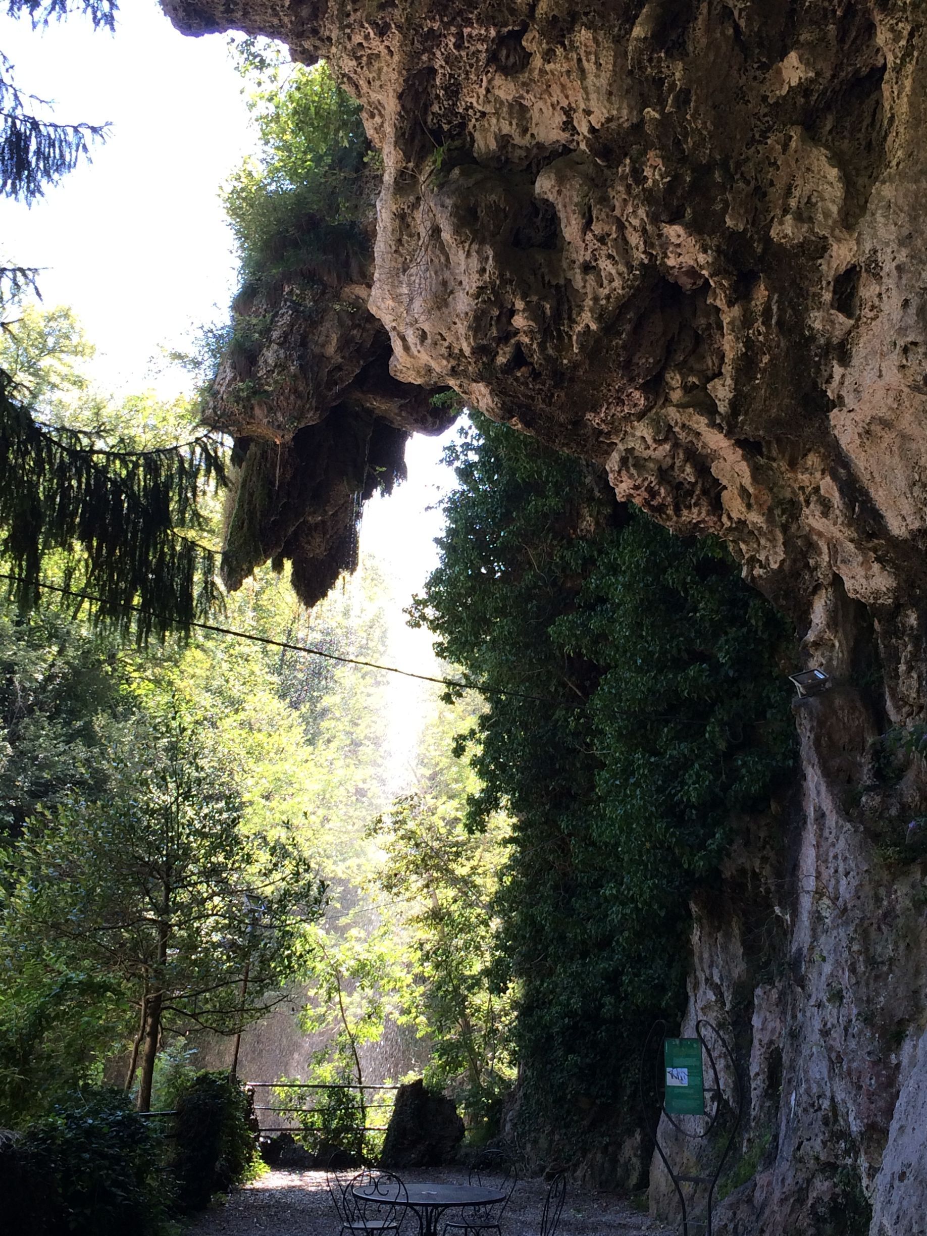 Sporgenze rocciose sopra un sentiero ombreggiato in una foresta verde, con la luce del sole che filtra attraverso gli alberi.