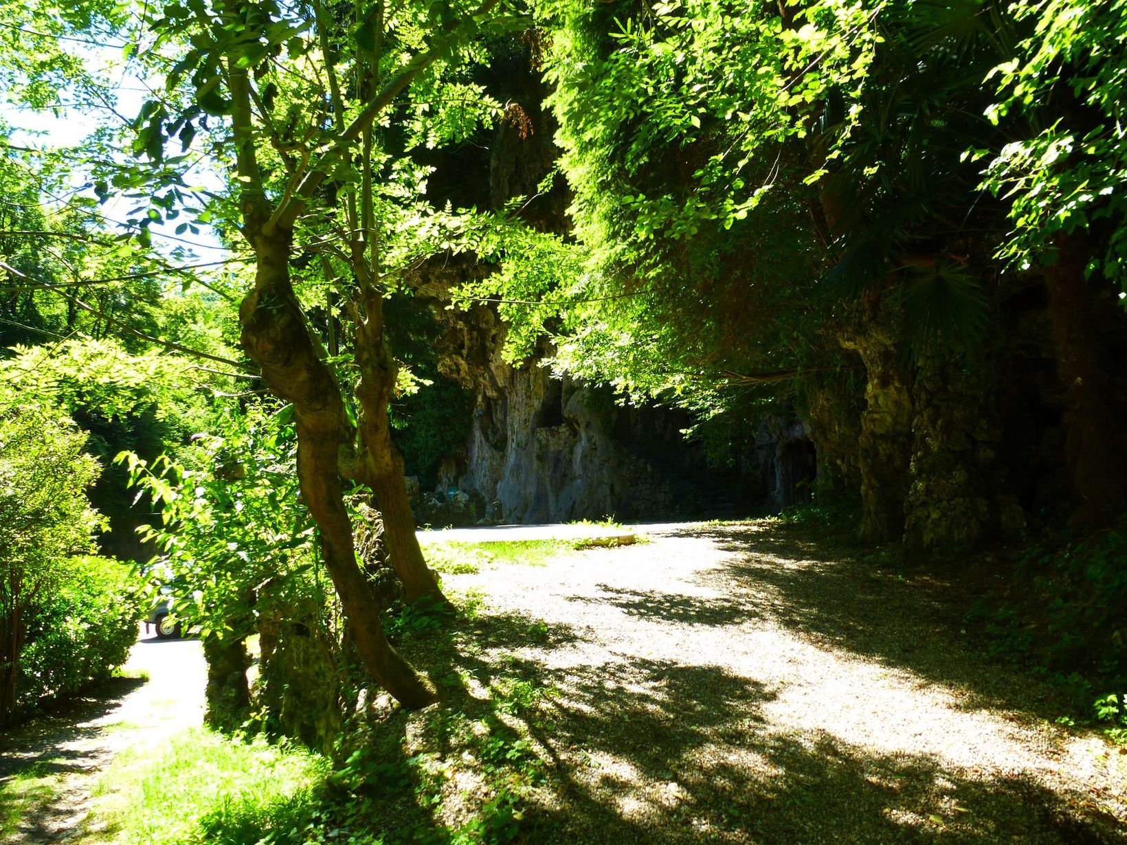 Sentiero soleggiato che si snoda attraverso una lussureggiante foresta verde, con ombre e uno sfondo roccioso.