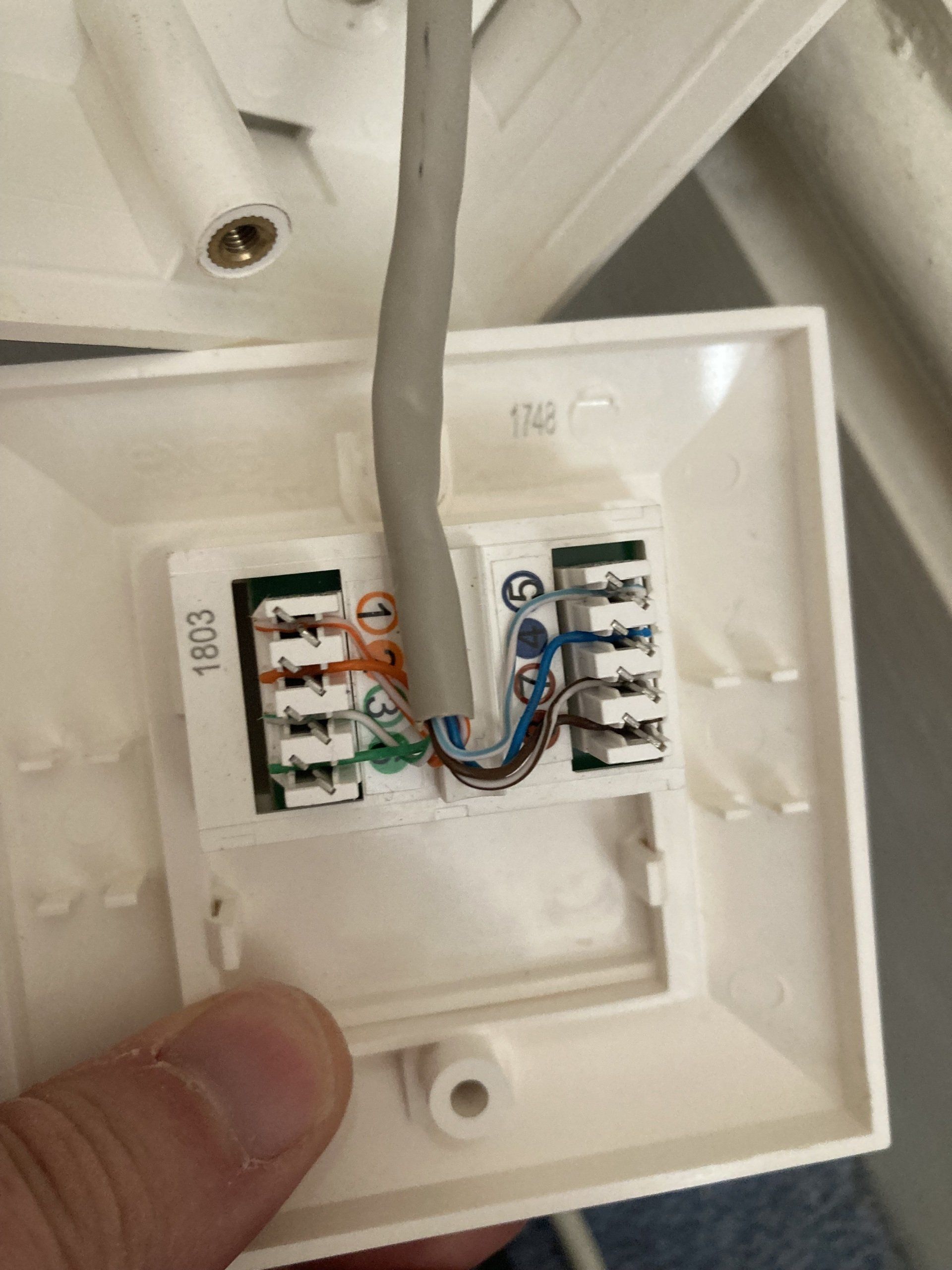 rear of cat 5 socket