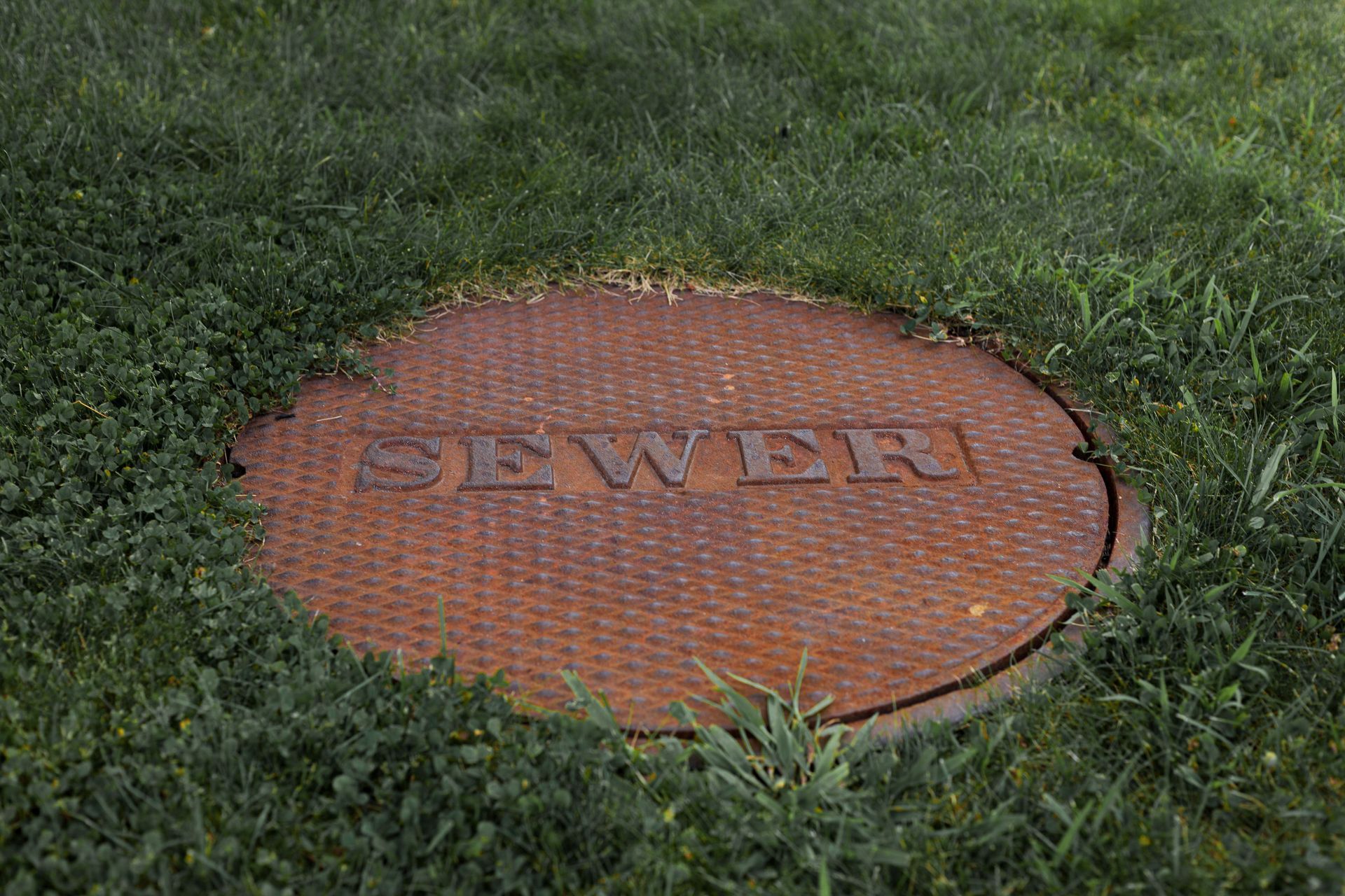 Orange sewer manhole cover surrounded by grass with “SEWER” embossed on top