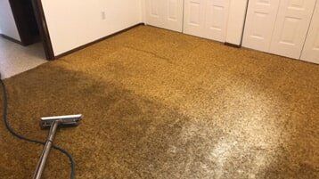 Cleaning Process Spokane Wa Clean Rite Carpet