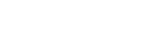 Vessel Digital Marketing