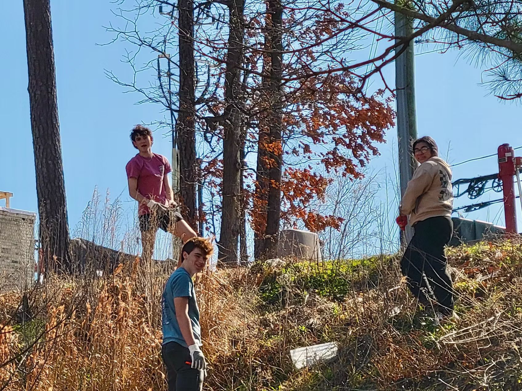 Three people cleaning up a hillside: one in a red shirt, two in the shadows. Trees and blue sky in background.