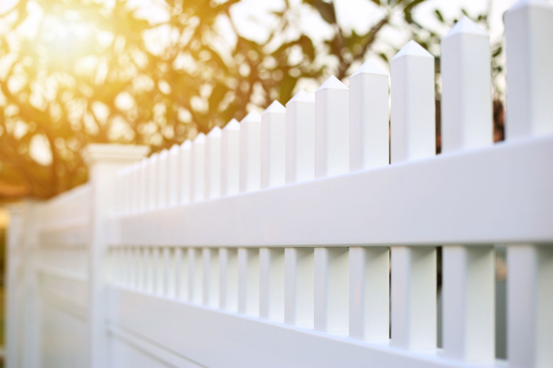 White vinyl picket fence glowing in warm sunlight with trees in the background.