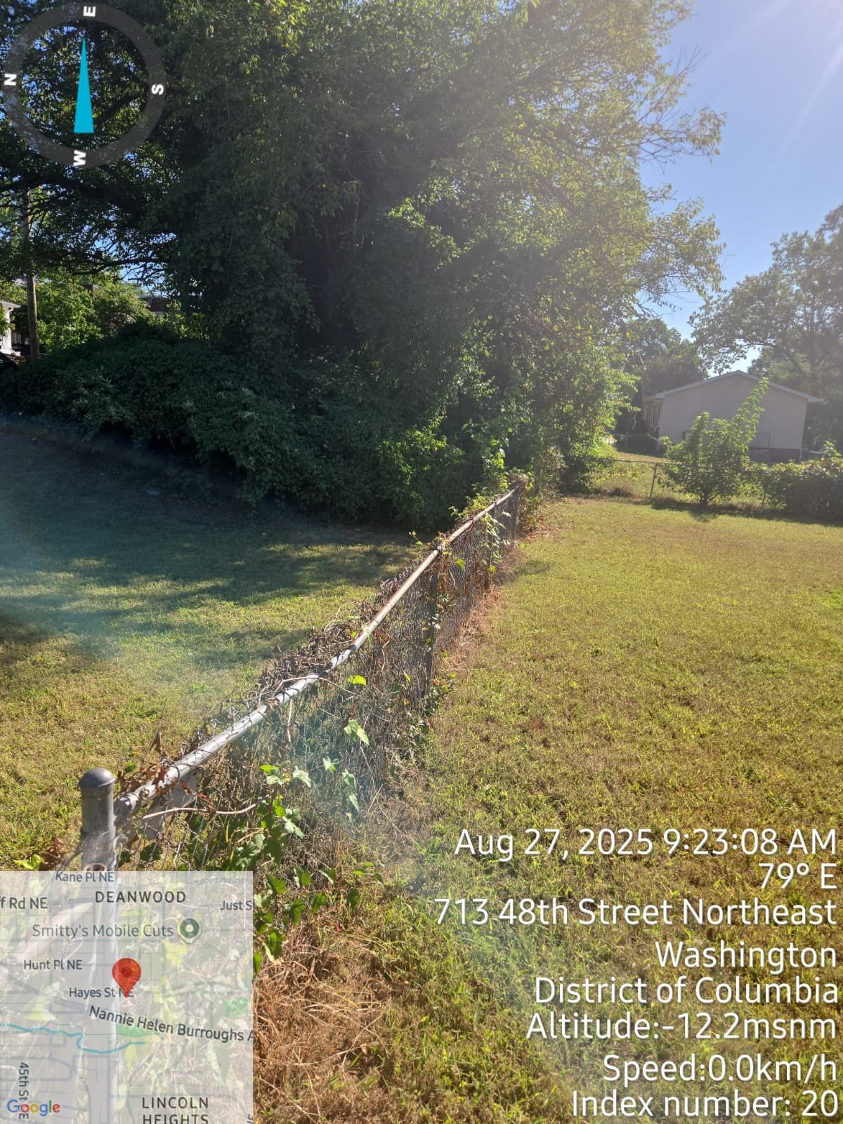 Chain-link fence in grassy yard, trees and shrubs in background, sunny day. Location: 713 48th Street Northeast, Washington.