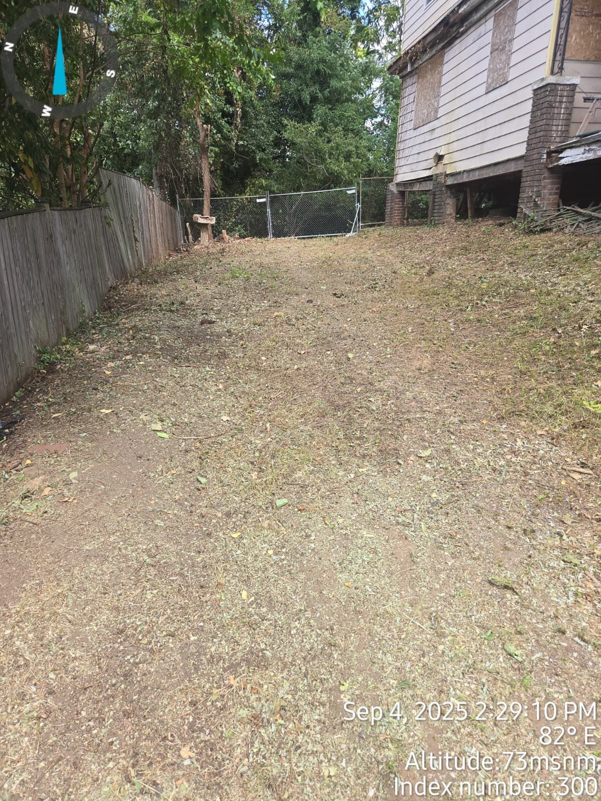 Grassy yard next to a weathered building and fence, with green trees in the background.