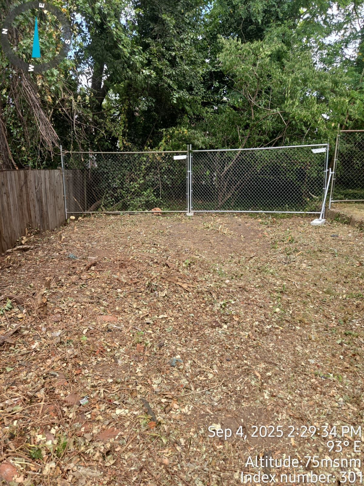 Bare backyard with chain-link fence, surrounded by trees and a wooden fence, covered in leaves and debris.