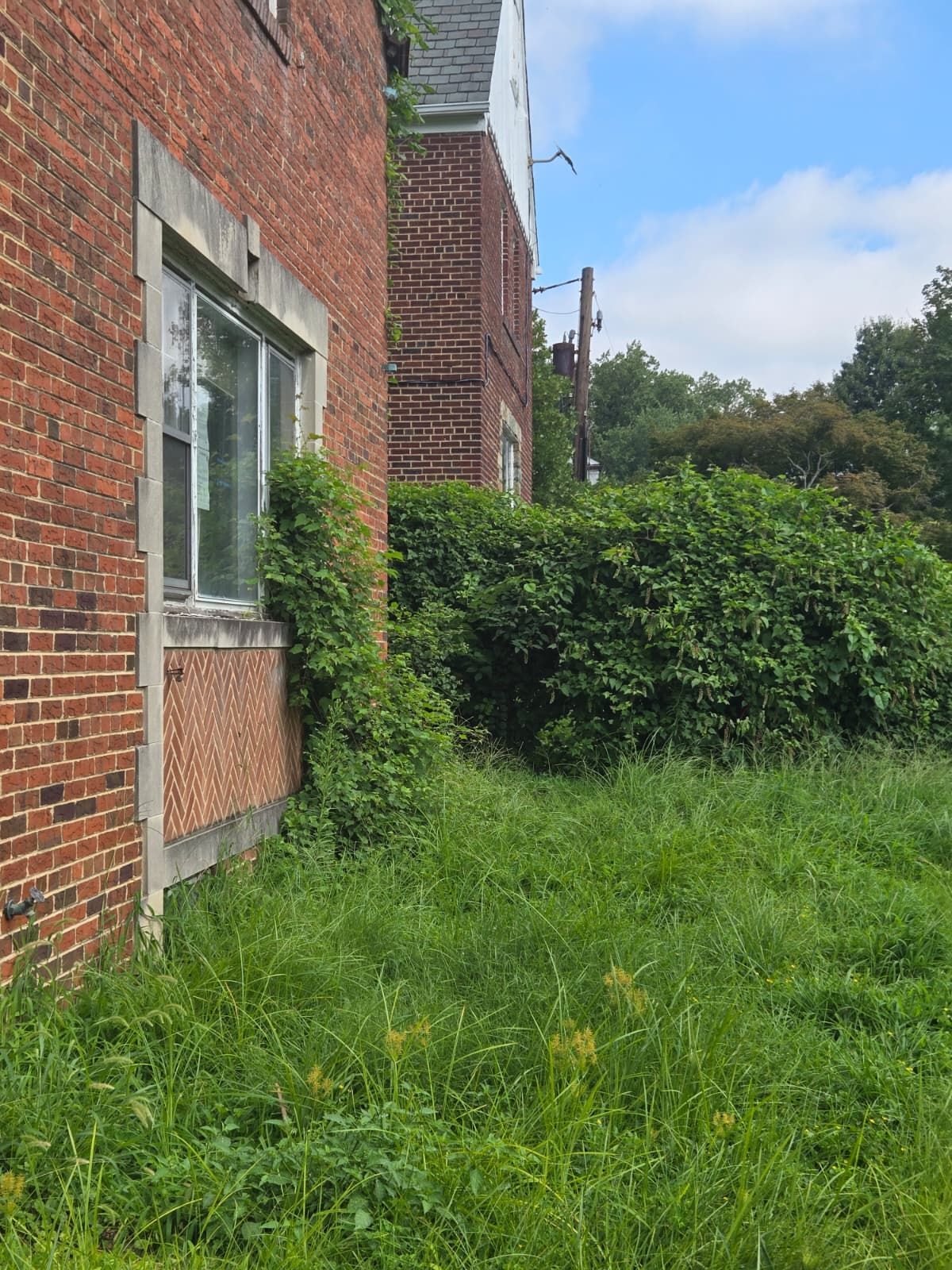 Red brick building with overgrown vegetation and tall grass.