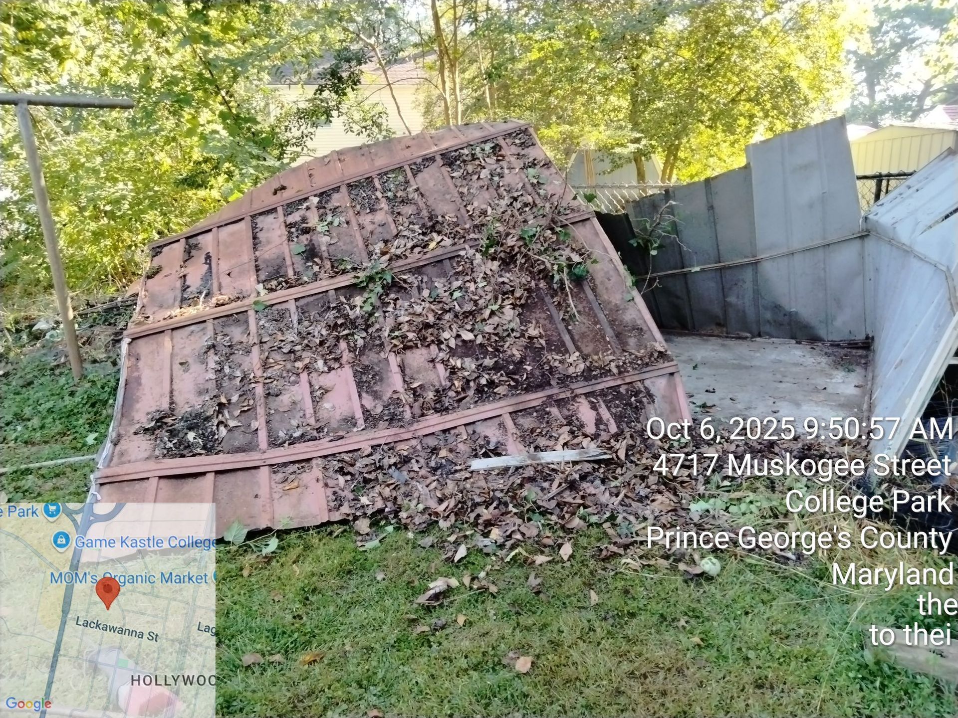 Fallen metal roof covered in leaves, near 4217 Muskogee Street, College Park, MD.