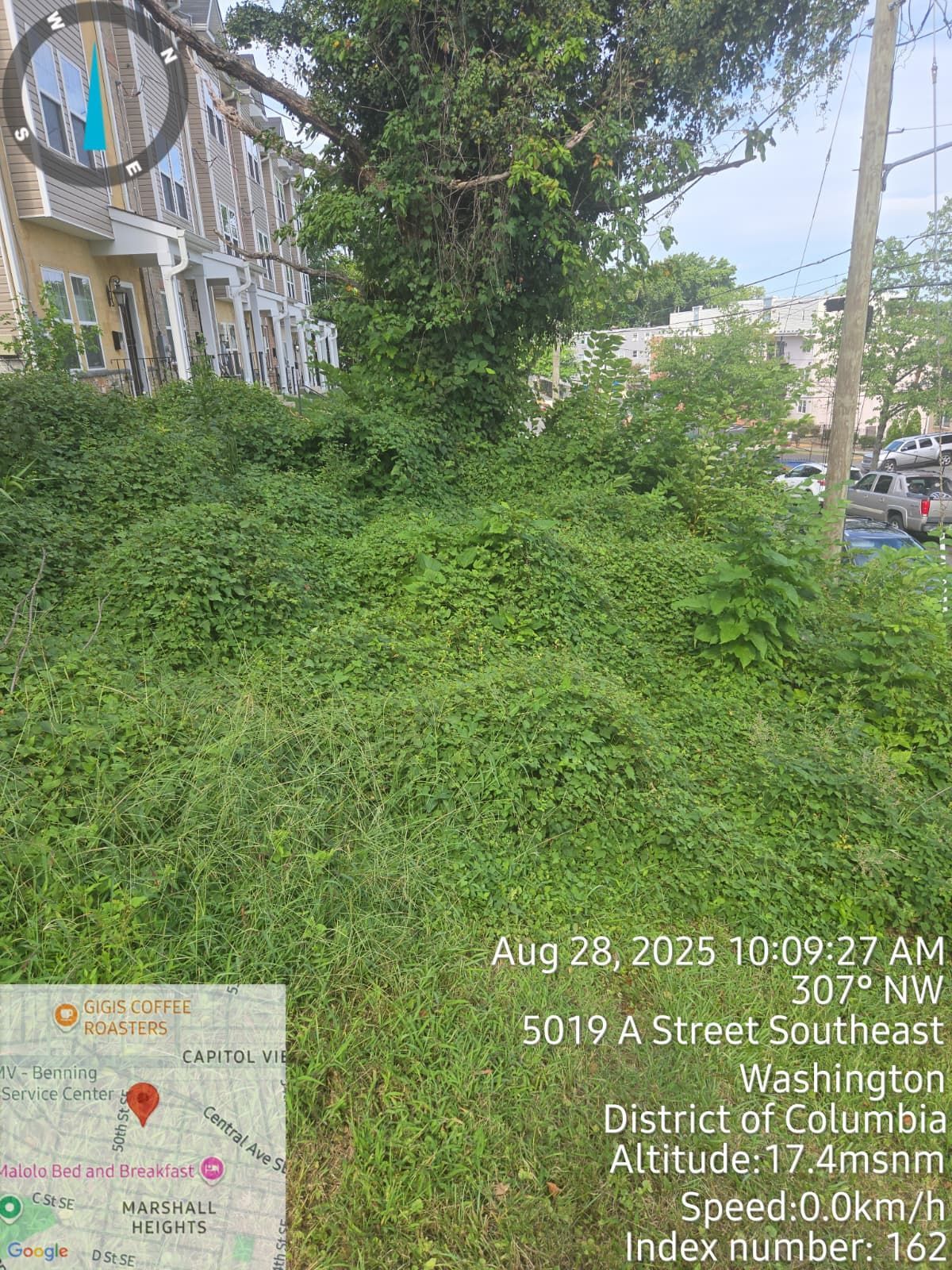 Overgrown green vegetation in front of a Washington DC building, date-stamped August 28, 2025.