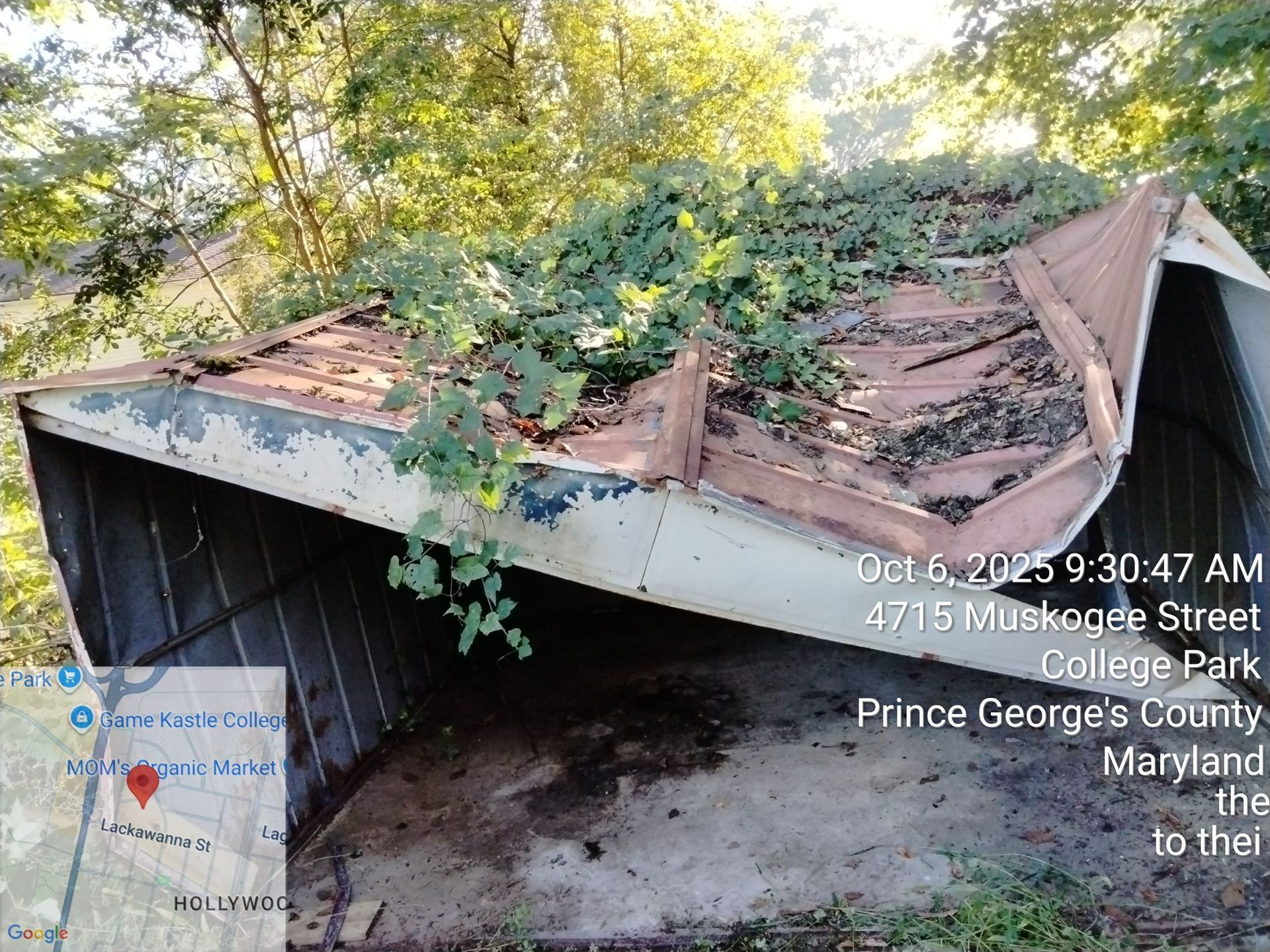 Dilapidated shed with overgrown vegetation on roof, located in College Park, Maryland.
