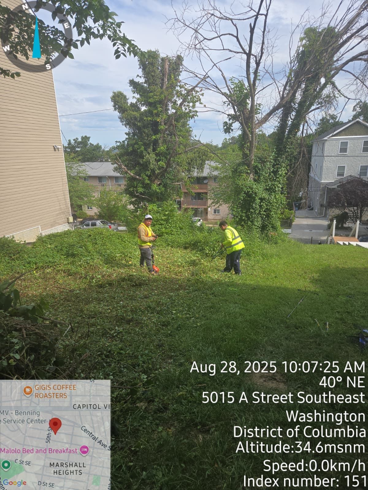 Two workers in safety vests on a grassy lot, trees and buildings in the background. Location: 5015 A Street Southeast, Washington.