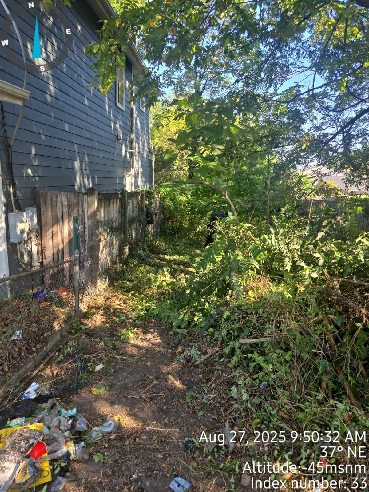 Side of a blue house with overgrown vegetation, dirt path.