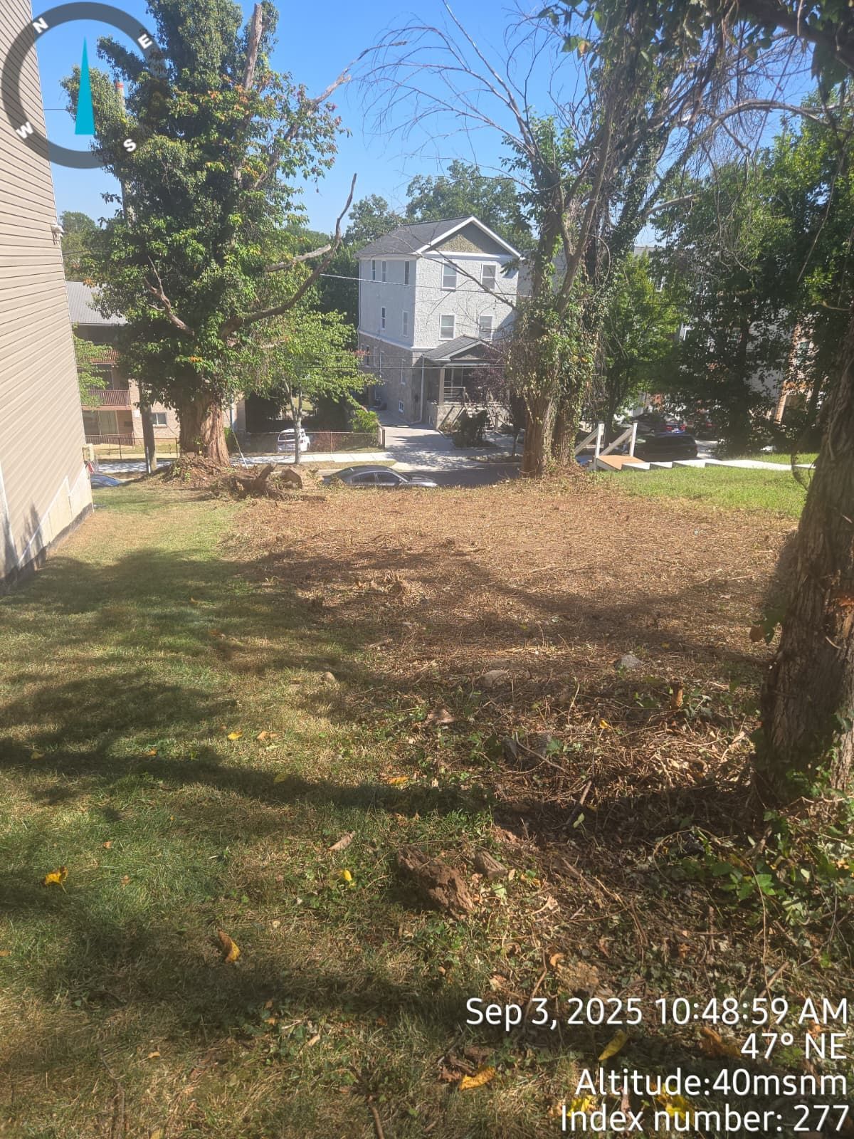 A clearing in a yard with recently cut trees and a house in the background on a sunny day.