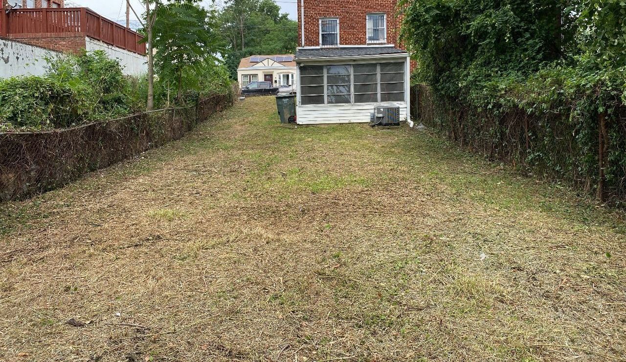 A lush green yard with a brick building in the background.
