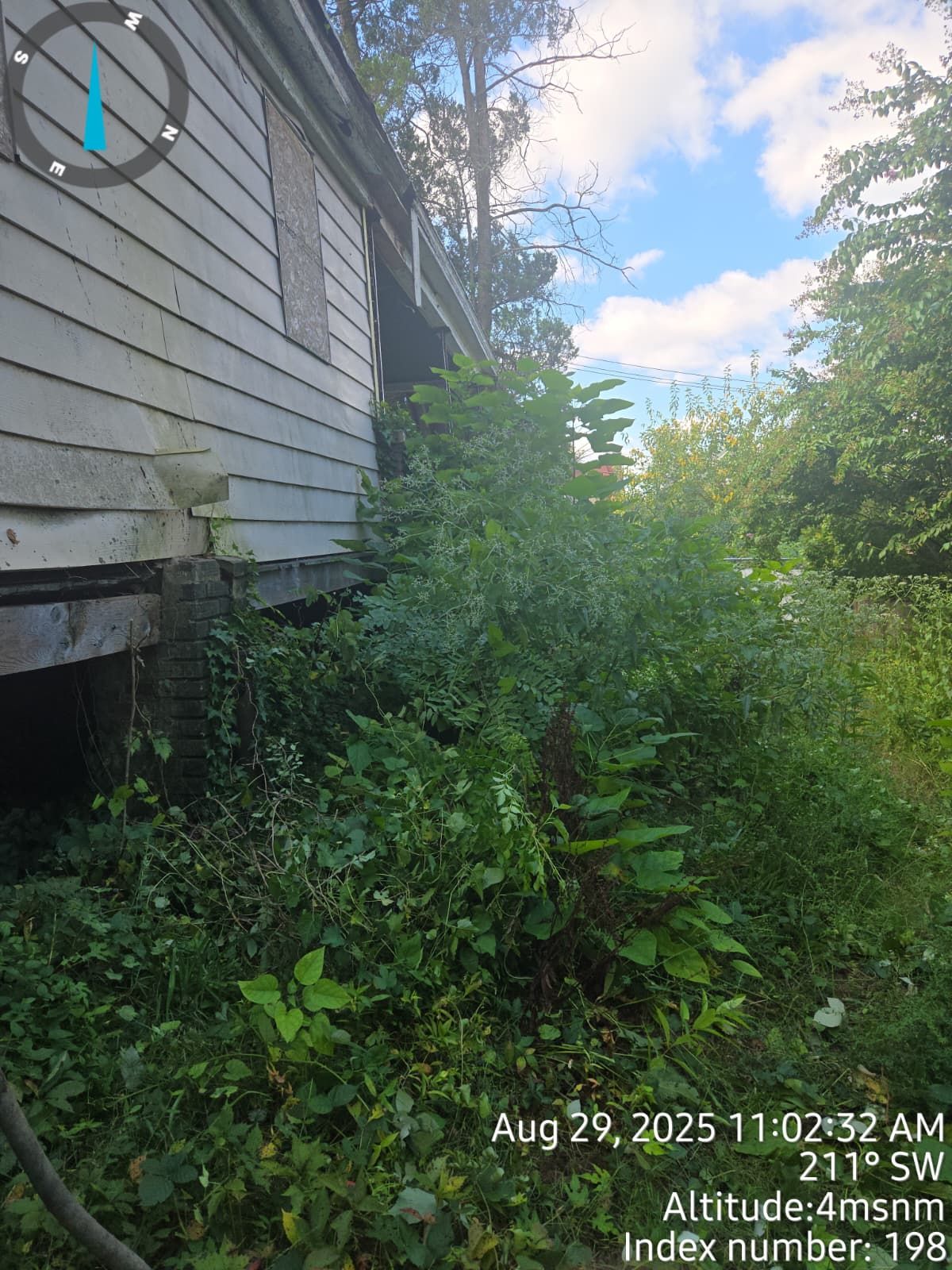 Side of weathered building overgrown with green vegetation under a blue sky.