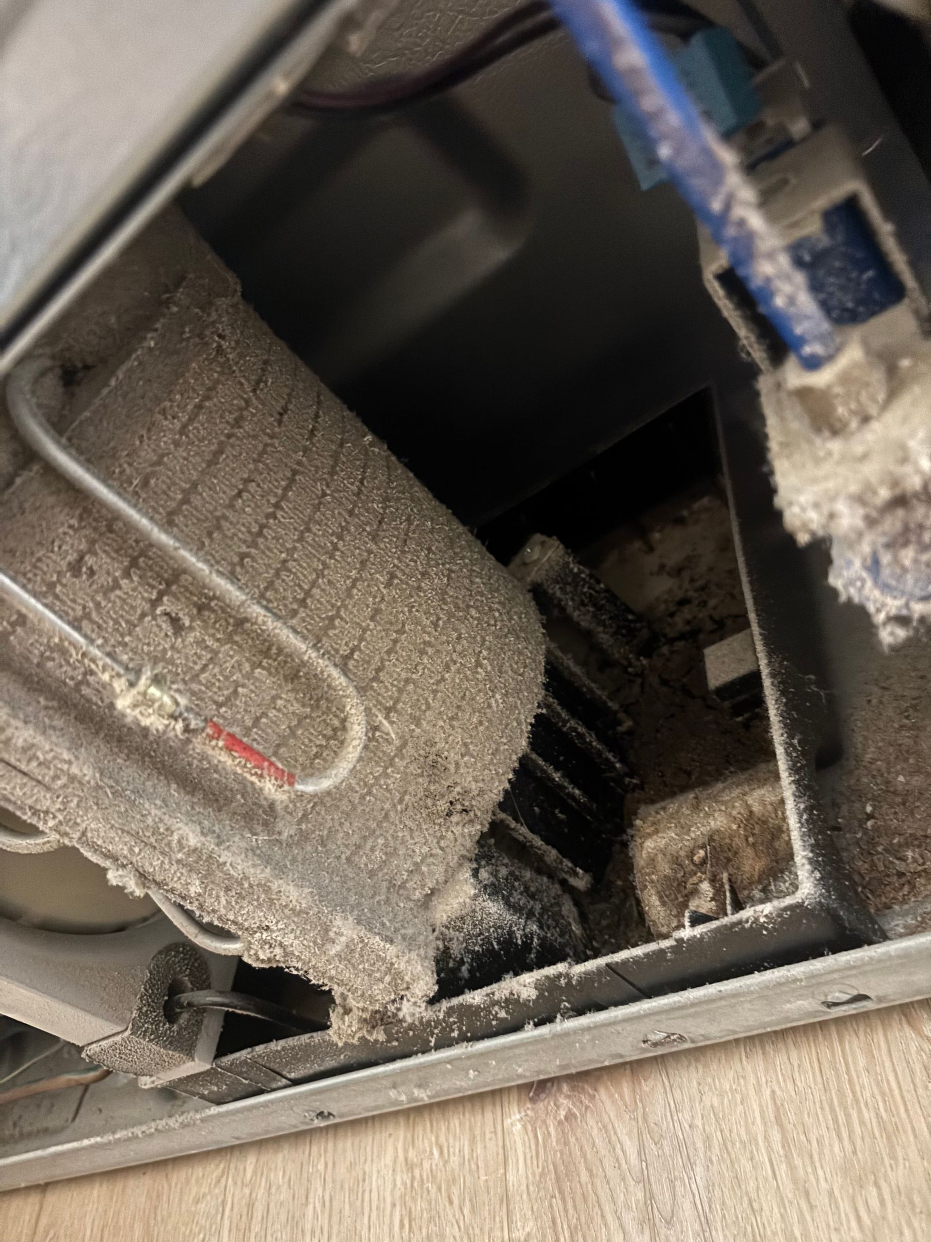 Heavily dust-covered refrigerator coils and components inside a metal housing, showing a need for cleaning.