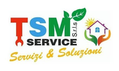 TSM SERVICE - LOGO