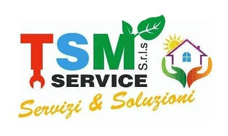 TSM SERVICE-LOGO