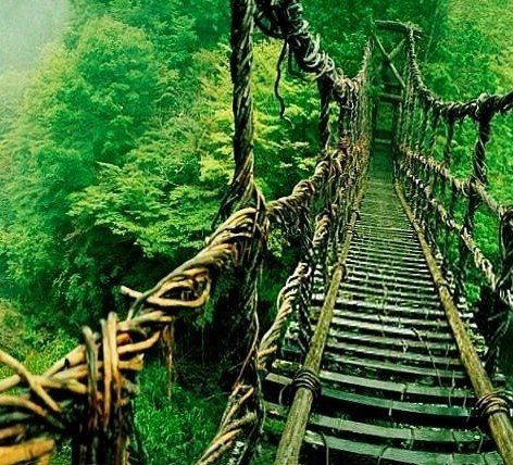 Activities & Sights in Iya Valley & Oboke