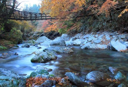 Oku-Iya Double vine bridge riverside