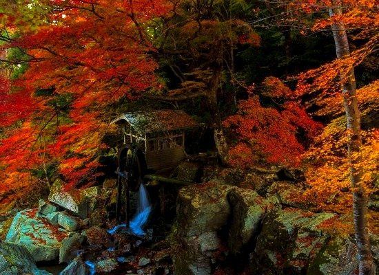 Waterwheel at Handa Iwa Rocks