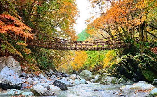 Oku-Iya Niju Kazurabashi Vine Bridge