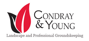 A logo for condray & young landscape and professional groundskeeping
