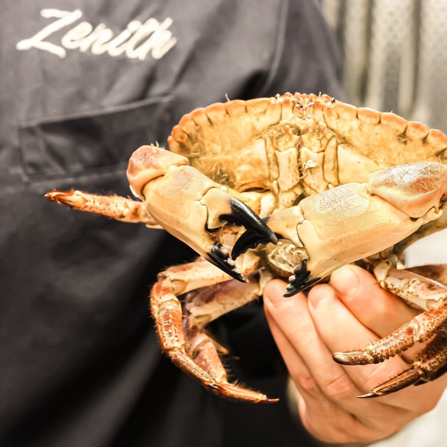 Zenith eventi privati foto 4