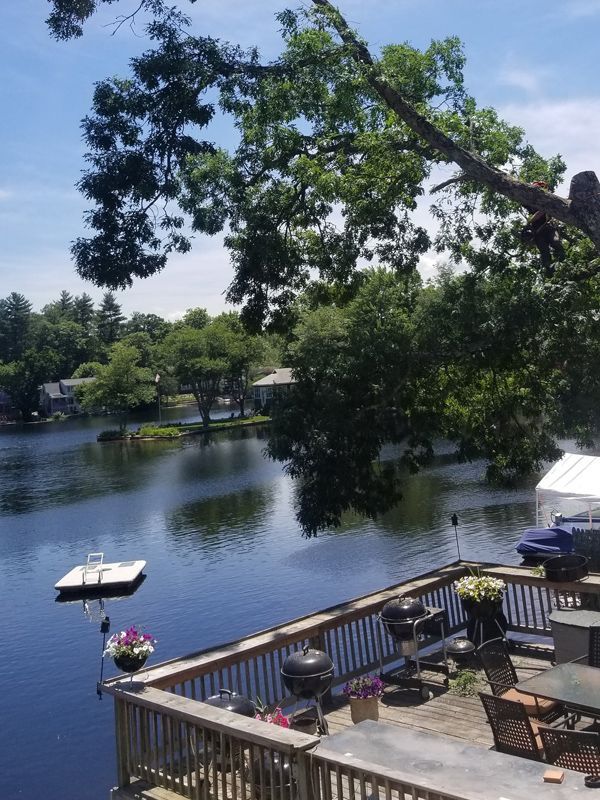 Tree Falling Near Lake — Hampstead, NH — Maple Leaf Tree Service LLC