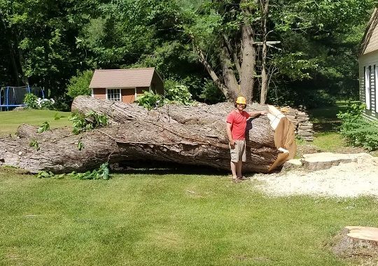 Man Beside Big Tree Branch — Hampstead, NH — Maple Leaf Tree Service LLC