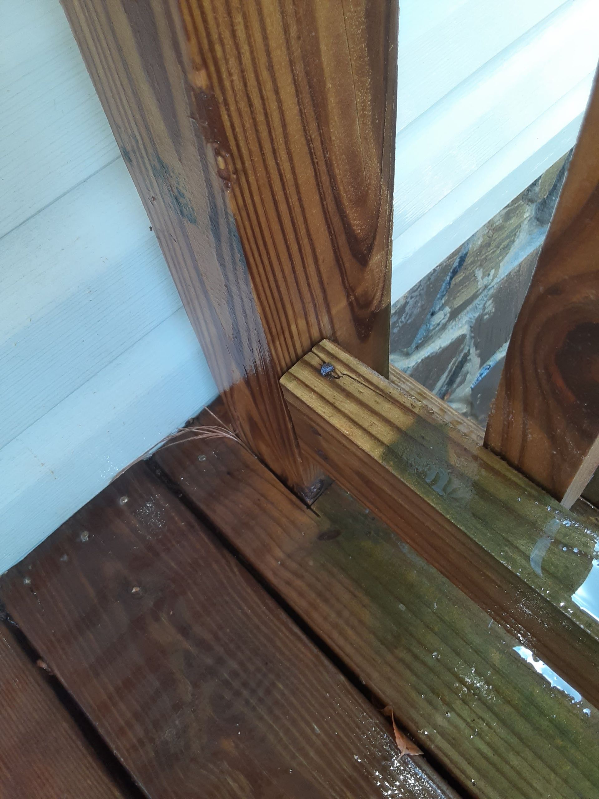 A close up of a piece of wood with a screw in it.