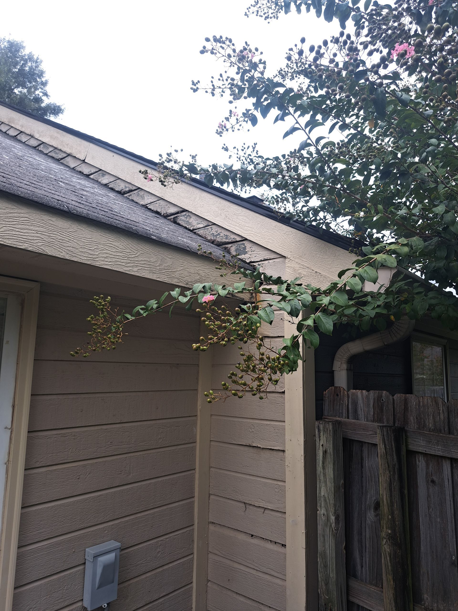 A house with a fence and a tree on the side of it